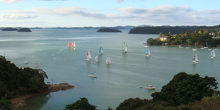 Boat Races, Opua, Bay of Islands